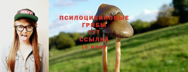 хмурый Майский